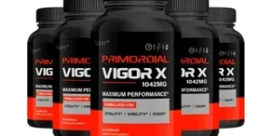 vigor_x_